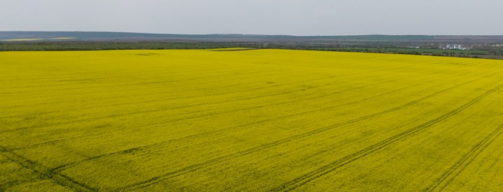 Отлични резултати на продуктите предлагани от фирма АГРЕДО ЕООД при ЛИПОВИ ООД