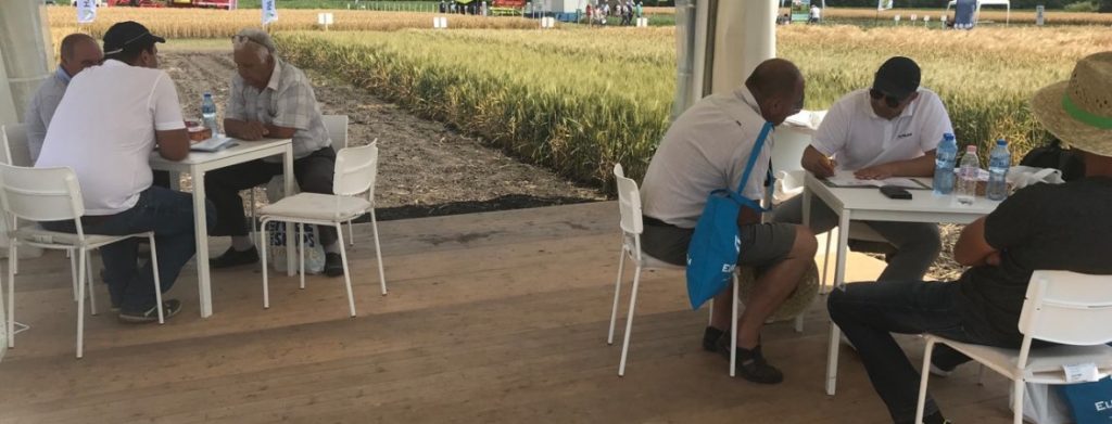 АГРЕДО на Интернационалните Полски Дни в Пловдив