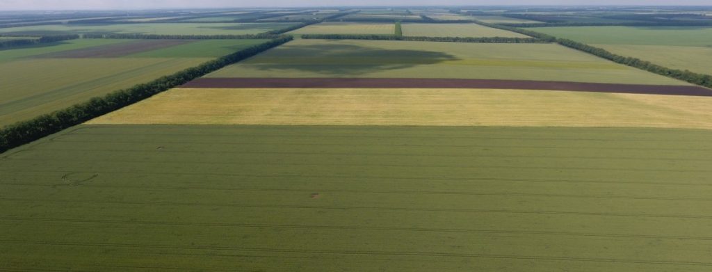 Открит Ден на Агредо ЕООД в с.Дропла