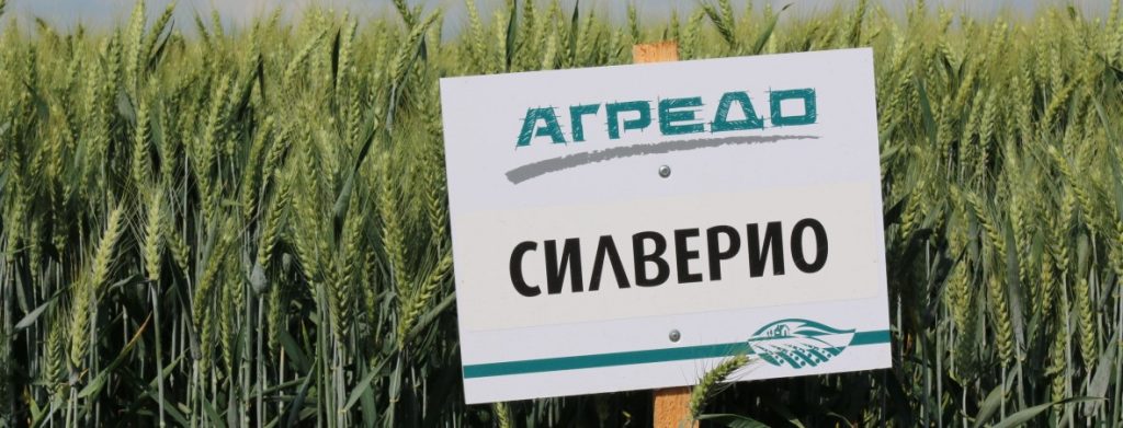 Открит Ден на Агредо ЕООД в с.Дропла